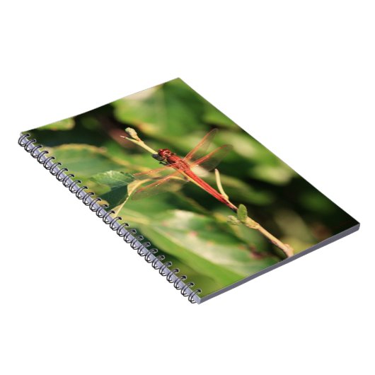 Dragonfly #3725ノート ノートブック (右側)
