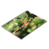 Dragonfly #3725ノート ノートブック (左側)