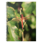 Dragonfly #3725ノート ノートブック (正面)