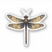 Dragonfly Animal Art Graphic Dragonfly (3) シール (正面)