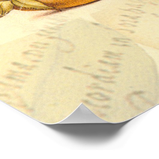 Dragonfly Botanical Nature Wildlife ポスター (角)