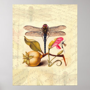 Dragonfly Botanical Nature Wildlife ポスター