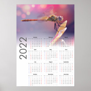 Dragonfly Calendar 2022ポスター – 日曜日スタート ポスター