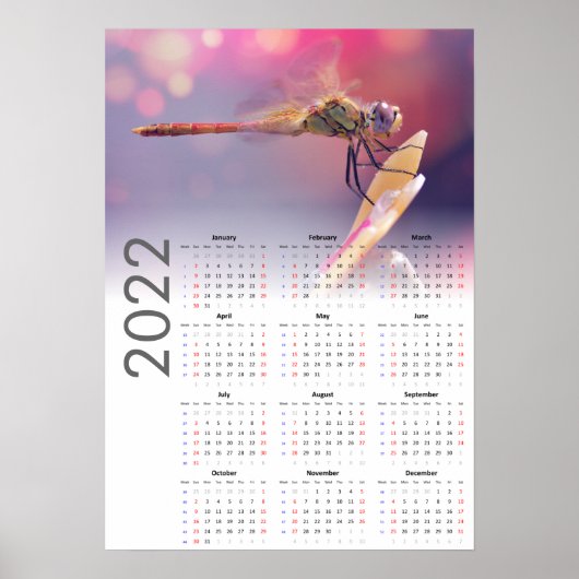 Dragonfly Calendar 2022ポスター – 日曜日スタート ポスター (正面)