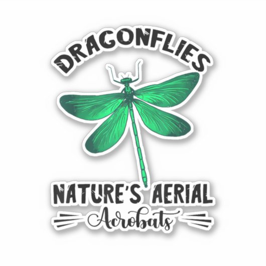 Dragonfly Nature Insect Nature's Aerial Acrobat Dr シール (正面)