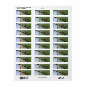 Dragonfly On Wire Fence自然アドレス ラベル (フルシート)