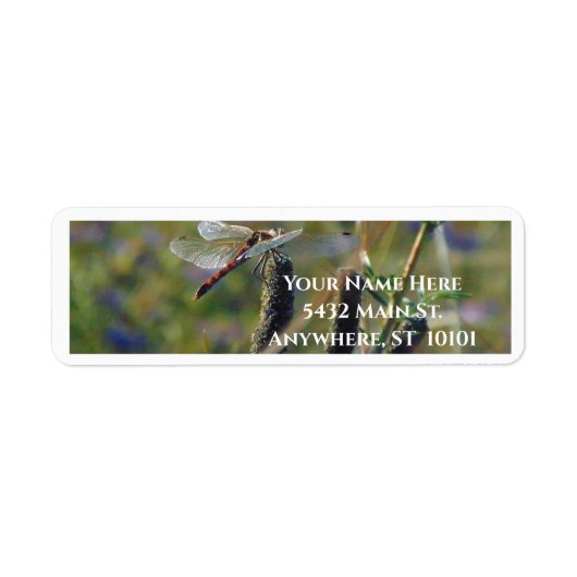 Dragonfly Return Address Label ラベル (正面)