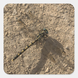 Dragonfly Sticker スクエアシール