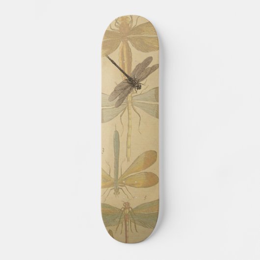 Dragonfly Vintage Antique Classic Drawing スケートボード (正面)
