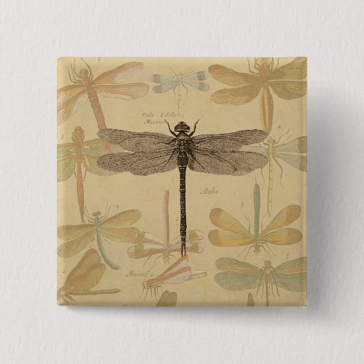 Dragonfly Vintage Antique Classic Drawing 缶バッジ (正面)