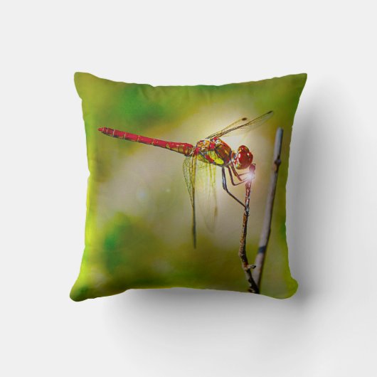 Dragonlyteのモノグラム クッション (裏面)