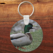 Drake Mallard Duck キーホルダー (正面)