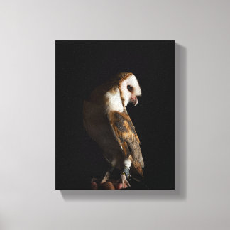 Dramatic Barn Owl Portrait in the Dark キャンバスプリント