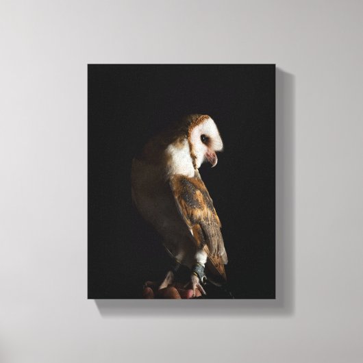 Dramatic Barn Owl Portrait in the Dark キャンバスプリント (正面)