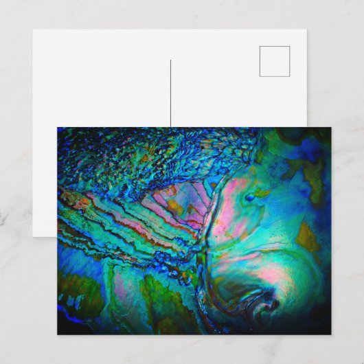 Dramatic Blue Abalone Shell インビテーションポストカード (正面/裏面)