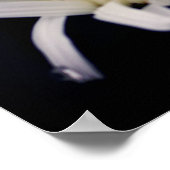 Dramatic Daisy Flower ポスター (角)