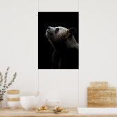 Dramatic Giant Panda Portrait ポスター (キッチン)
