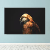 Dramatic Low Key Portrait of a Majestic Hawk キャンバスプリント (インサイチュ (ウッドフロア))