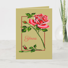 Dramatic Single Red Rose With Border カード