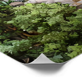 Dramatic Underground Cavern Lake - Light & Form ポスター (角)