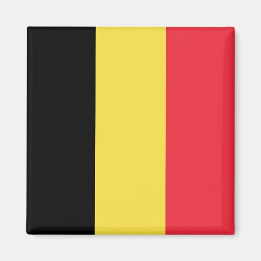 Drapeau Belgique Tricolore マグネット (正面)