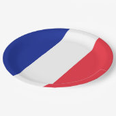 Drapeau France Tricolore ペーパープレート (アングル)