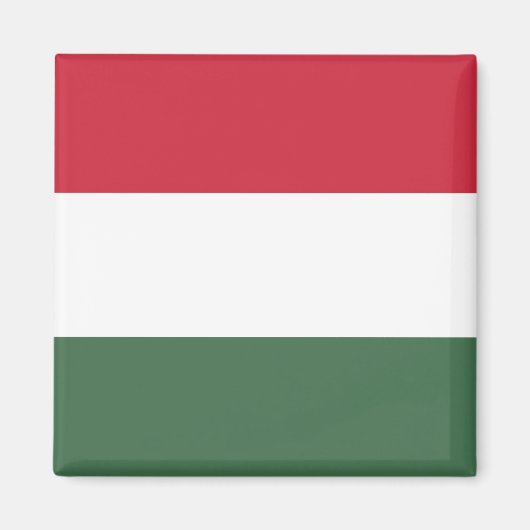 Drapeau Hongrie tricolore マグネット (正面)