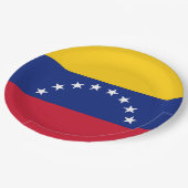 Drapeau Venezuela ペーパープレート (アングル)
