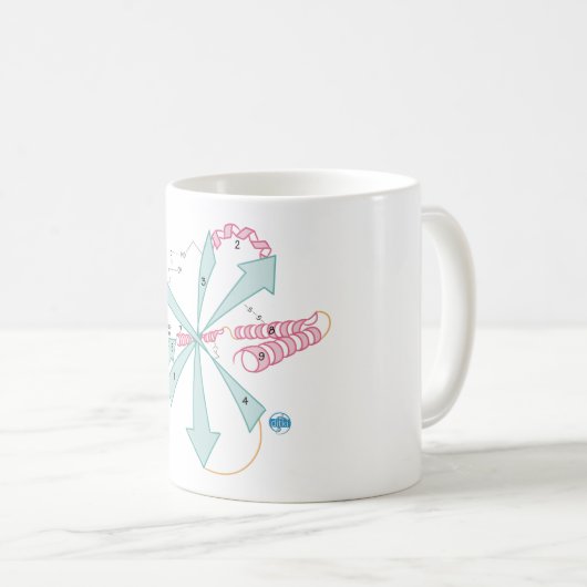 Draw to Know it Tertiary Structure mug コーヒーマグカップ (正面右)