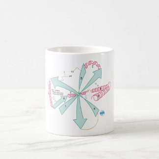 Draw to Know it Tertiary Structure mug コーヒーマグカップ