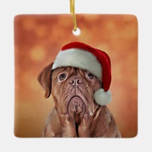 Drawing dog Dogue de Bordeaux in red hat of Santa