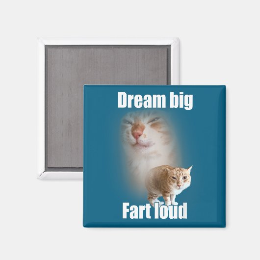 Dream Big Fart Loud Cat Meme Funny Saying  マグネット (正面/裏面)