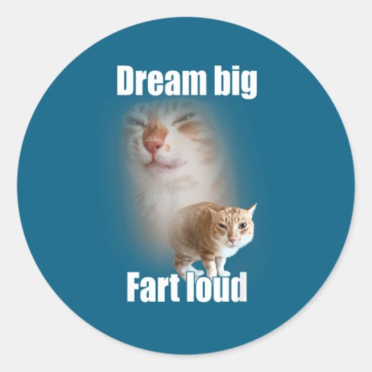 Dream Big Fart Loud Cat Meme Funny Saying ラウンドシール (正面)