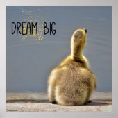 Dream Big Motivational Poster ポスター (正面)