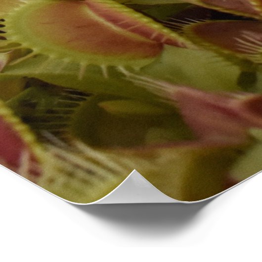 Dream Big not small. ポスター (角)