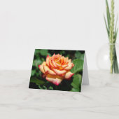 Dream Come True Rose カード (正面)