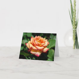 Dream Come True Rose カード