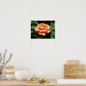 Dream Come True Rose ポスター (キッチン)