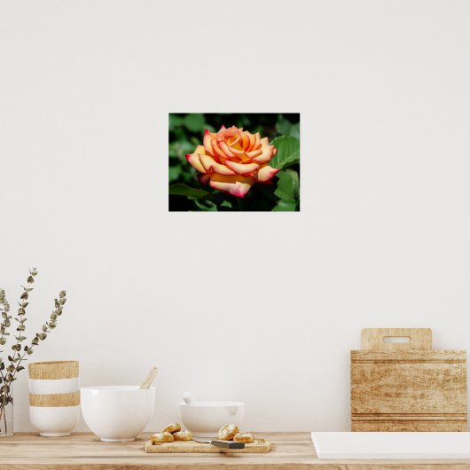 Dream Come True Rose ポスター (キッチン)