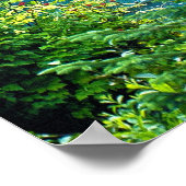 Dream Lake Alaska, USA & Foysted Mountains写真 ポスター (角)