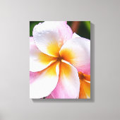 Dream Palette:  franjipani flower キャンバスプリント (正面)