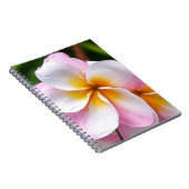 Dream Palette: Franjipani flower ノートブック (右側)