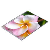 Dream Palette: Franjipani flower ノートブック (左側)