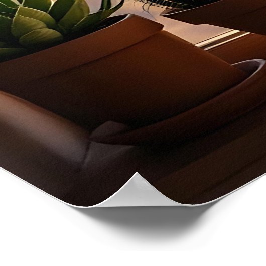 Dreamcatcher, Desert Canyons, Cacti   ポスター (角)