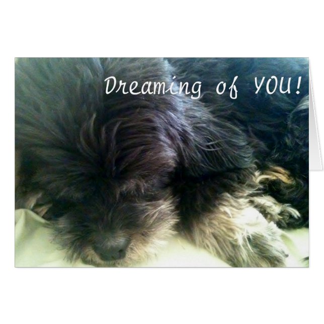 DREAMING OF YOU – ラブカード (正面横)