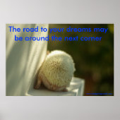 Dreams poster ポスター (正面)