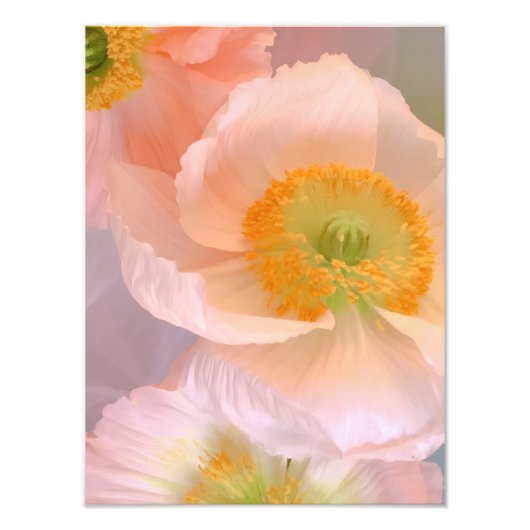 Dreamy フォトプリント (正面)