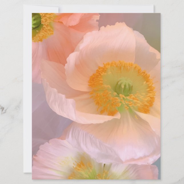 Dreamy レターヘッド (正面)