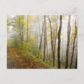 Dreamy autumn park ポストカード (正面)