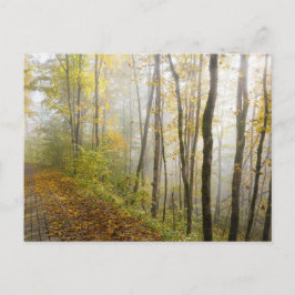 Dreamy autumn park ポストカード